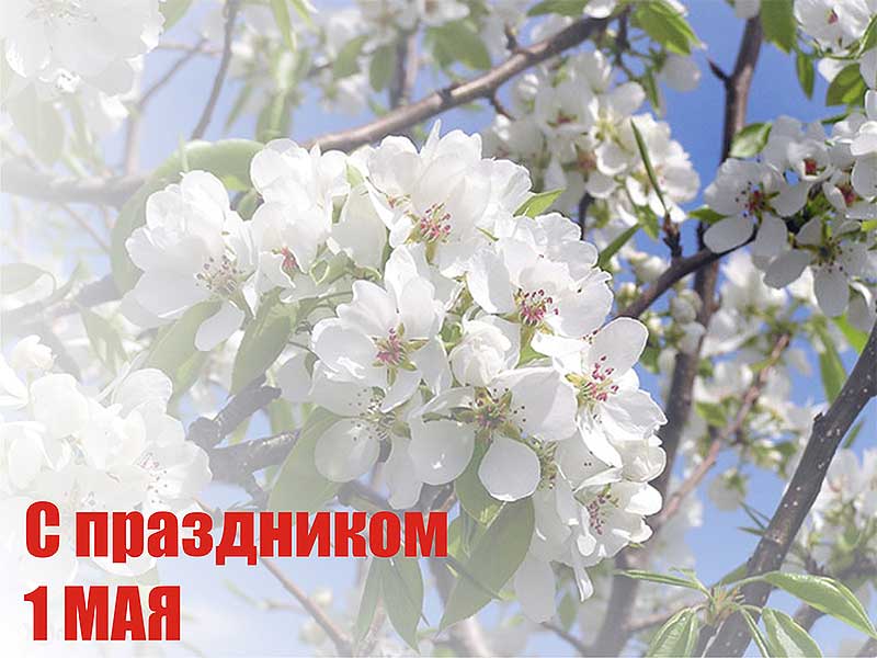 Администрация сайта ХСН-Ltd от всей души поздравляет Вас, с праздником Весны, Мира и Труда!